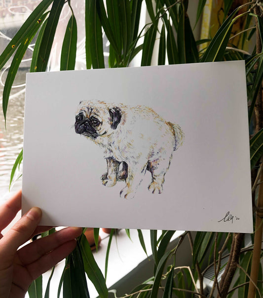 Pooping Pug Poster